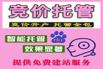 关键词布局技巧：SEM运营成功案例解析